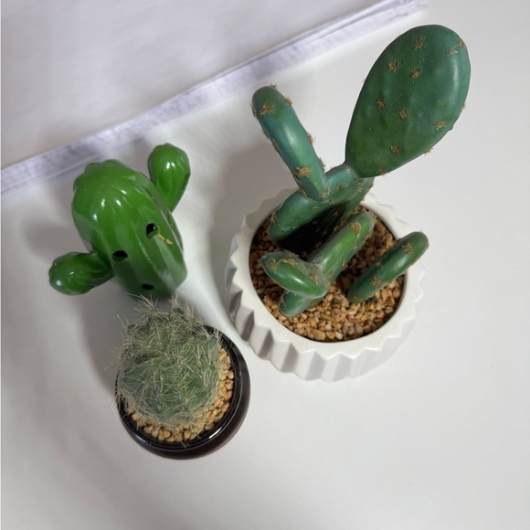 Faux cactus cacti set Decor - Picture 13 of 14